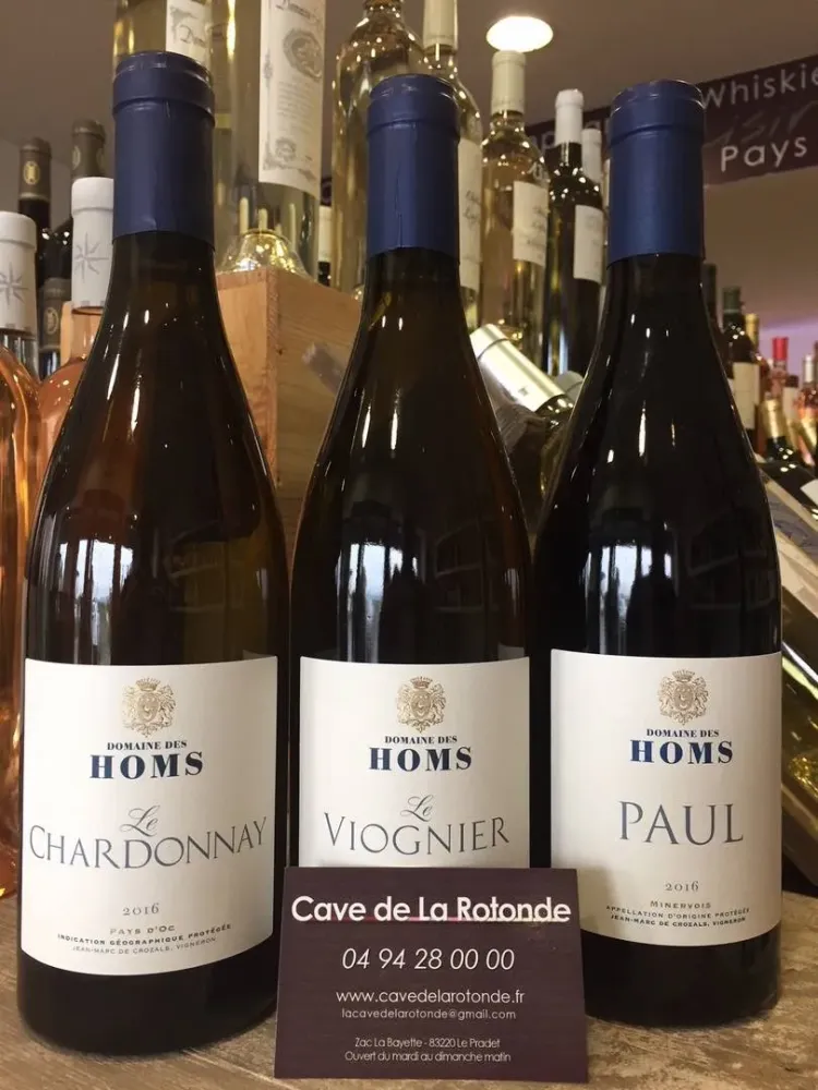 Domaine des Homs - Minervois