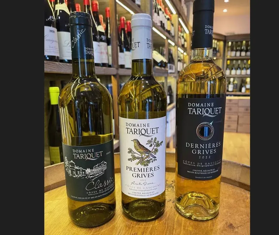 Découverte et vente dans le var du vin du domaine de Tariquet